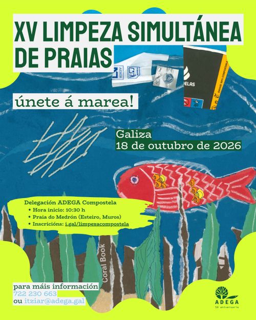 XV Limpeza simultánea de praias