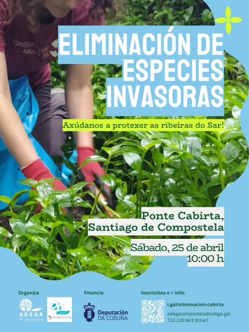  Eliminación de flora exótica invasora en Ponte Cabirta 🌿
