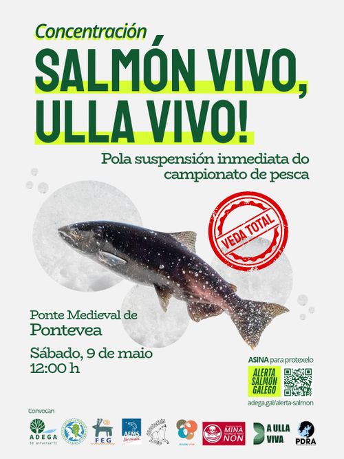 CONCENTRACIÓN "SALMÓN VIVO, ULLA VIVO!"